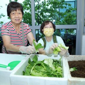 Go Green SG