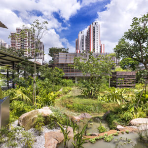 Wheelchair friendly tours at Enabling Village