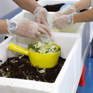 food sustainability tour